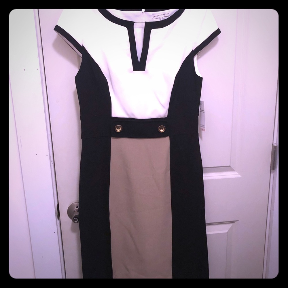 Sandra Darren Dress